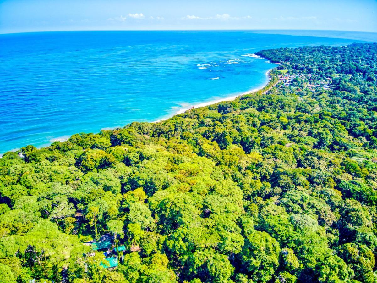 Exotico Beach Hotel Puerto Viejo de Talamanca Zewnętrze zdjęcie